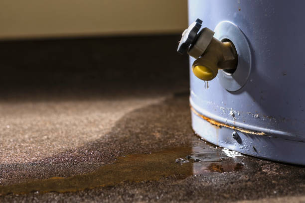 Terra Bella, CA Water damage restoration Company
