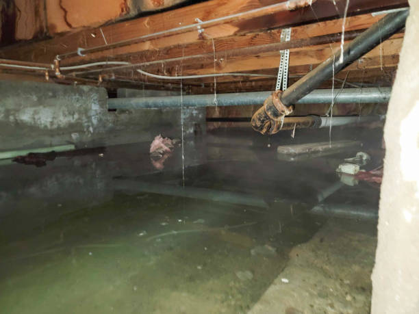 Best Sewage cleanup and water damage restoration  in Terra Bella, CA