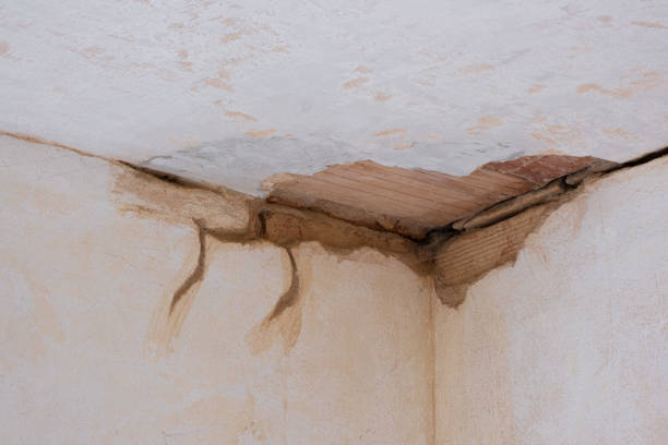 Best Emergency water damage restoration  in Terra Bella, CA