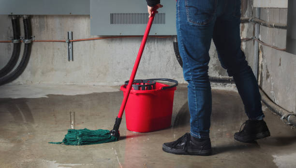 Best Professional water damage repair  in Terra Bella, CA