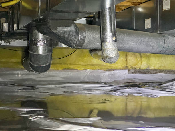  Terra Bella, CA Water damage restoration Pros