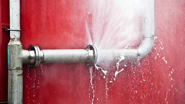 Best Mold removal after water damage  in Terra Bella, CA