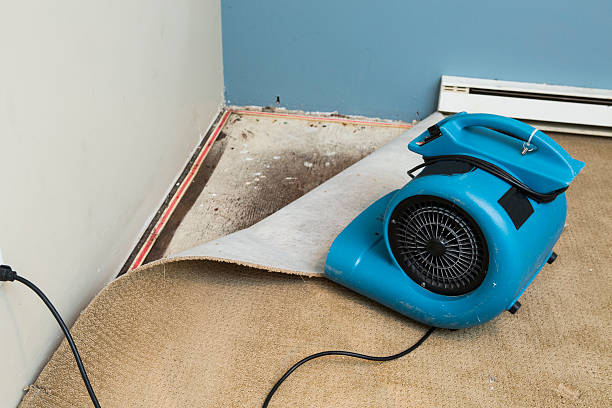 Best 24/7 water damage repair  in Terra Bella, CA